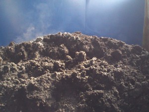 発酵する堆肥